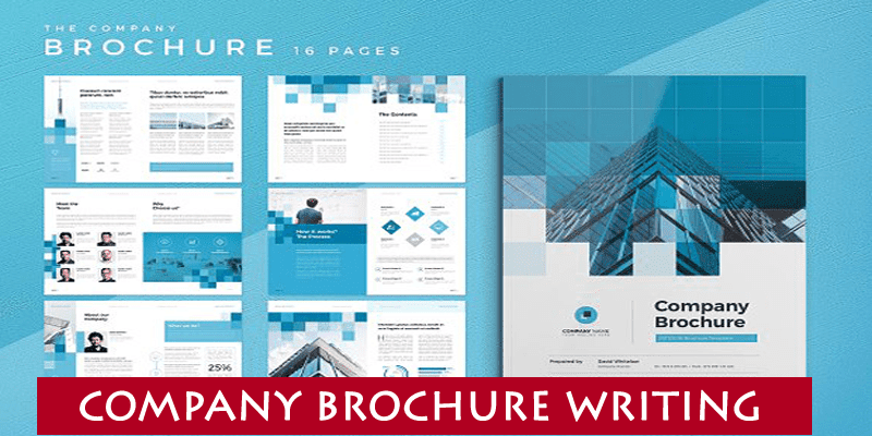 Company Brochure Writing services